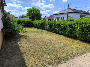 Photo de galerie - Tonte de pelouse - Débroussaillage