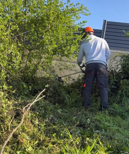 Photo de galerie - Tonte de pelouse - Débroussaillage