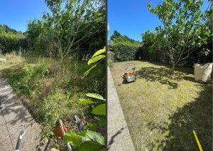 Photo de galerie - Un jardin près à accueillir l’été 