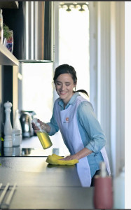Photo de galerie - Nettoyage de la Cuisine