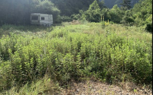 Photo de galerie - Débroussaillage et tonte sur une superficie totale de 3400 m² dans l’arrière pays Niçois.

