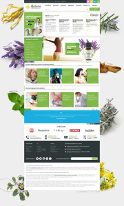 Photo de galerie - Création site internet