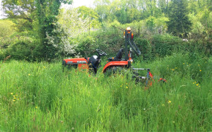 Photo de galerie - Tonte de pelouse - Débroussaillage