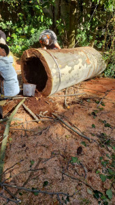 Photo de galerie - .