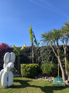 Photo de galerie - Taille de haies et d'arbustes