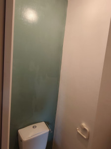 Photo de galerie - Peinture toilette blanc et un mur vert