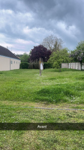 Photo de galerie - Tonte de pelouse - Débroussaillage