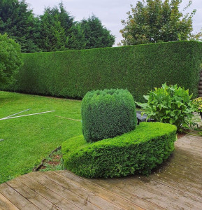 Photo de galerie - Entretien jardin 