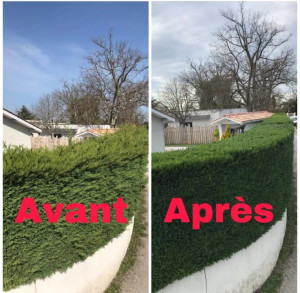 Photo de galerie - Taille de haie avant et après mes services
