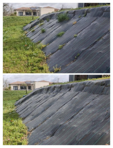 Photo de galerie - Désherbage manuel 