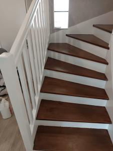 Photo de galerie - Rénovation peinture essence