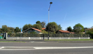 Photo de galerie - Taille de haies et d'arbustes