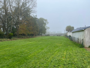 Photo de galerie - Tonte de jardin