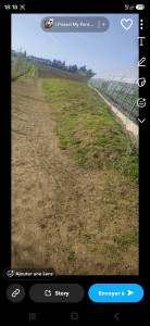 Photo de galerie - Nettoyage d'une jardin d'un agriculteur
