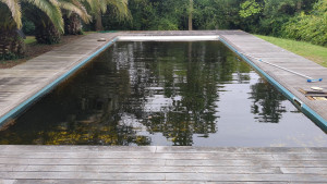 Photo de galerie - Entretien piscine