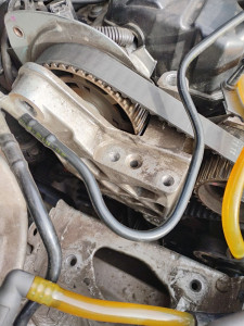 Photo de galerie - Kit distribution 1.9 dci 131cv renault scenic 3