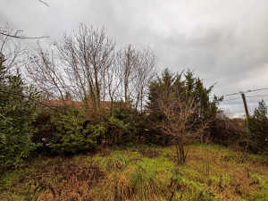 Photo de galerie - Avant