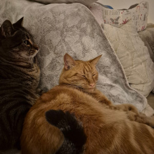 Photo de galerie - Jack et Sparo 