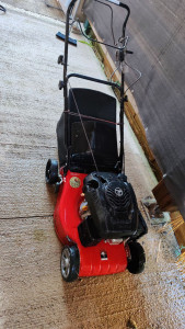 Photo de galerie - Entretien de votre jardin je dispose aussi d'un taille-haie de plus de 2 m. 