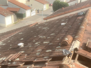 Photo de galerie - Couverture - Toiture