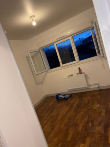 Photo de galerie - Ratissage complet plus mise en peinture 