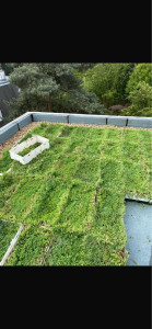 Photo de galerie - Pose d’une toiture végétalisé en cours 