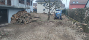 Photo de galerie - Débroussaillage et coupe d'arbres