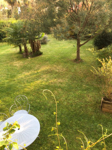 Photo de galerie - Tonte et taille 