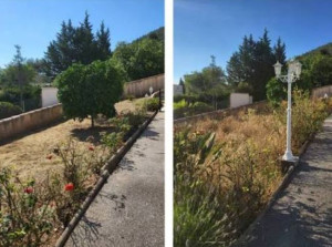 Photo de galerie - Jardinage