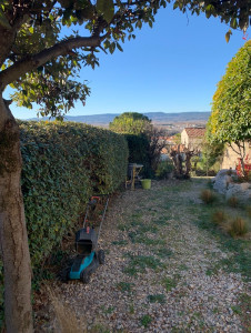 Photo de galerie - Taille de haies