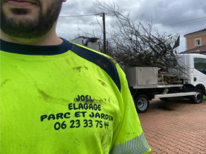 Photo de galerie - Joël élagage parc et jardin 