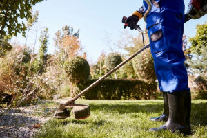 Photo de galerie - Débroussaillage de jardin et désherbage.
