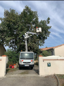 Photo de galerie - Entretien d’élagage