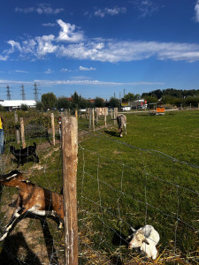 Photo de galerie - Baby sitting