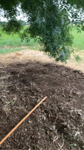 Photo de galerie - Après 