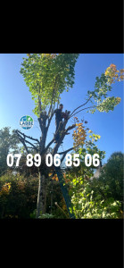 Photo de galerie - Travail propre & soigner 