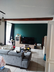 Photo de galerie - Rénovation salon plafond murs peinture 