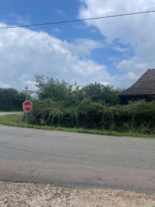 Photo de galerie - Elagage et coupe d'arbres