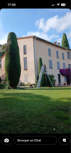 Photo de galerie - Elagage et coupe d'arbres