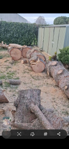 Photo de galerie - Abattage effectué par renard bâti 