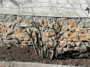 Photo de galerie - Paysagiste - Aménagement du jardin