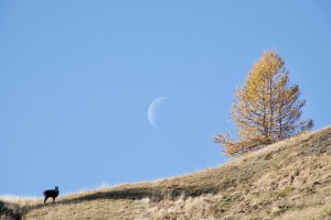Photo de galerie - Webmarketing