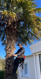 Photo de galerie - Démontage sur la côte vendéenne en toute sécurité sous ce beau ciel bleu??
