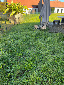 Photo de galerie - Avant la fauche