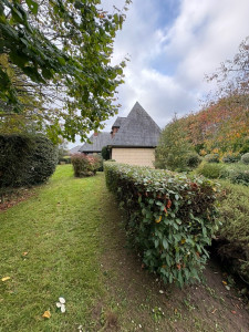 Photo de galerie - Taille au taille haie / manuel (précision) etc …