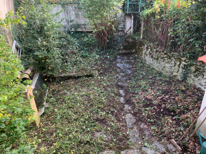 Photo de galerie - Débroussaillage avec élagage arbuste 