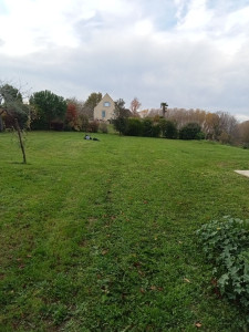 Photo de galerie - Tonte de pelouse ramassage des déchets végétaux 
