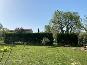 Photo de galerie - .