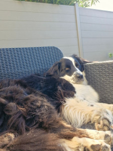 Photo de galerie - Je suis toute coincée dans le fauteuil, mais je suis près de ma nounou..