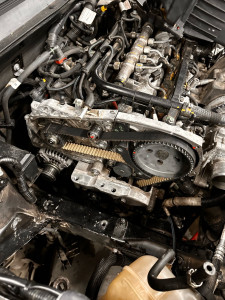 Photo de galerie - .